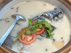 -全乐鱼馆·淳牌有机鱼直营店