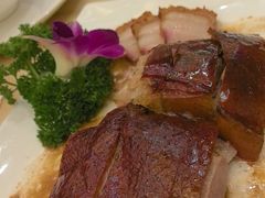 -锦粤宫·精致粤菜(深圳北站店)