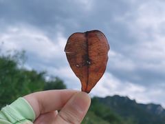 -欢乐松鼠谷