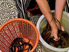 -邓莽子老火锅(中兴路总店)