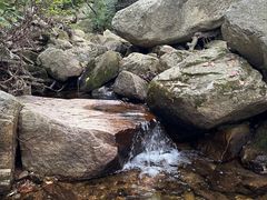 -沂蒙山旅游区云蒙景区(蒙山国家森林公园)