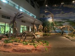-自贡恐龙博物馆