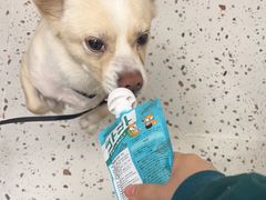 -瑞派康怡24h宠物医院·犬猫医疗中心·微创绝育(瑞景分院)