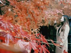 -竹子庵公园