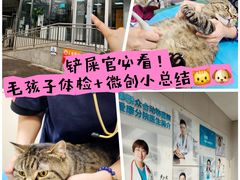 -美联众合爱康动物医院•复杂内科•肿瘤科•牙科•腔镜诊疗中心