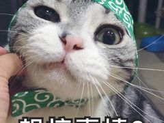 -ZONE BAR 音乐清吧