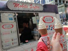 -富豪雪糕车流动点(尖沙咀店)