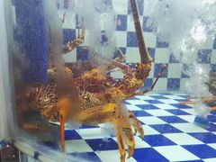 -古韵轩·江浙融合菜(梁溪店)