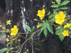 -汉中石门栈道景区