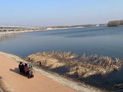 -丁香湖公园