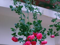 -人民公园(罗湖区)