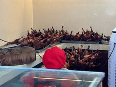 -王浩儿纪六孃甜皮鸭(乐山总店)