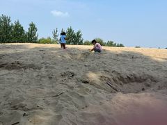 -东郊湿地公园