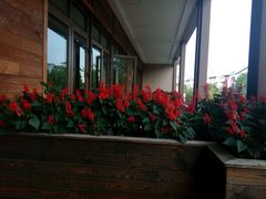 android_upload_pic-黔蘑菇四季餐厅(观山湖店)