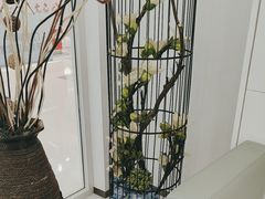 -泰康拜博口腔(松江印象城臻尔店)