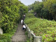-梧桐山风景名胜区