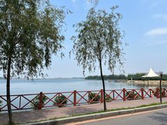 -丁香湖公园