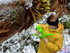 -西岭雪山大飞水景区