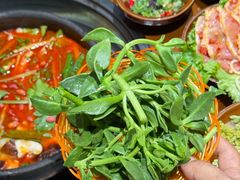 -黔有有贵州酸汤夺夺粉火锅(五味十字店)