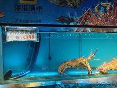 -海港酒家(始创中心店)
