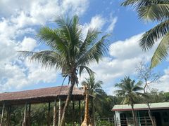 -海南热带野生动植物园