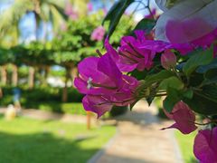 -三亚亚龙湾天域度假酒店