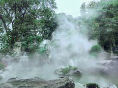 -东莞植物园