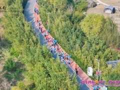 -上海长兴岛郊野公园