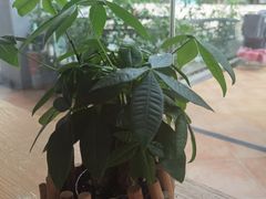 -左悦·艾灸调理·推拿按摩·精油SPA(卓悦汇店)