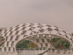 -同里国家湿地公园