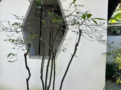-秋霞圃