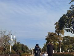 -九龙湖公园