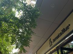 -JamaicaBlue(新城国际店)