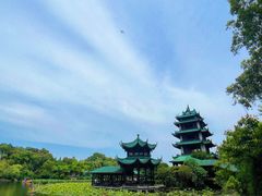 -桂湖森林公园
