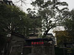 -安胖老火锅(两路口店)