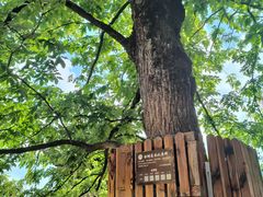 -九华山风景区月身宝殿