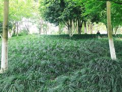 -杭州城北体育公园