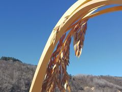 -南泥湾风景区