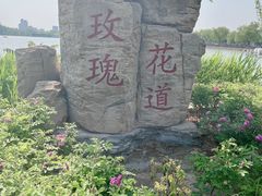 -天津水上公园