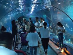 -石家庄海洋公园
