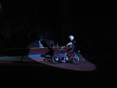 -环球城国际大马戏