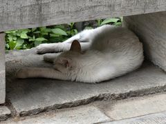 -四门塔风景区