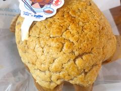 阿华田可可奶油包-好利来(内双楠店)