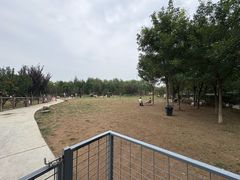 -爪吧宠物乐园 (温榆河示范区店)