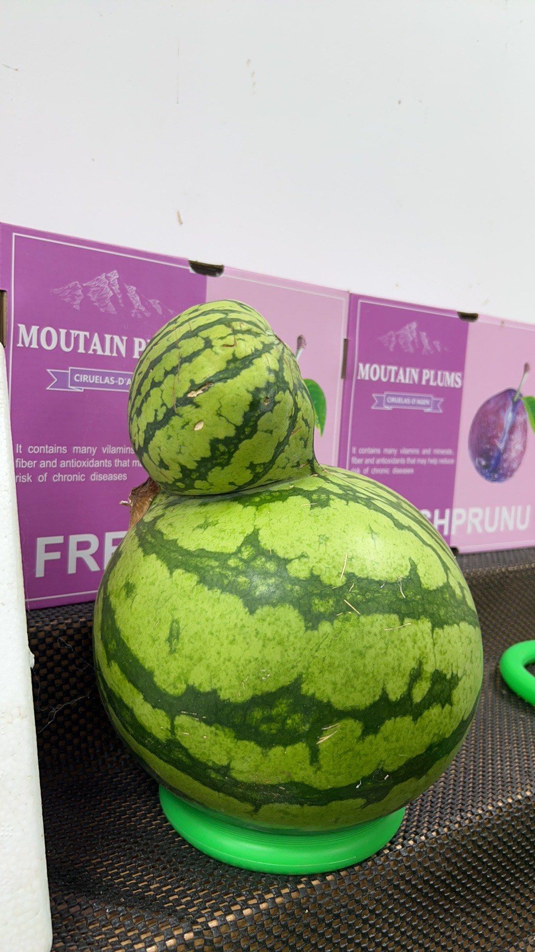 这西瓜是变异了吗❓