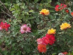 -汉长安城未央宫国家考古遗址公园