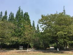 -成都南湖公园
