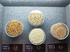 -镇江中国醋文化博物馆