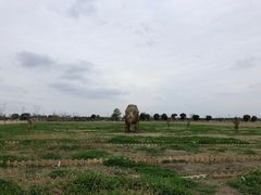 -嘉北郊野公园