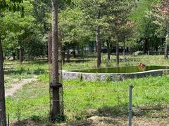 -秦皇岛野生动物园